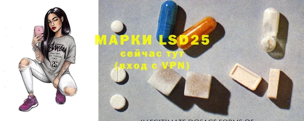индика Магас
