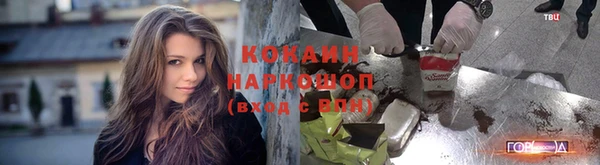 гашик Магадан