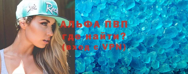 индика Магас